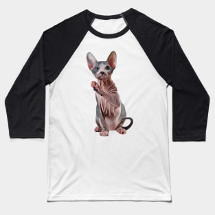 Drawing Sphynx kitten Baseball T-Shirt